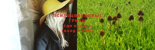 кристаллы Инсар